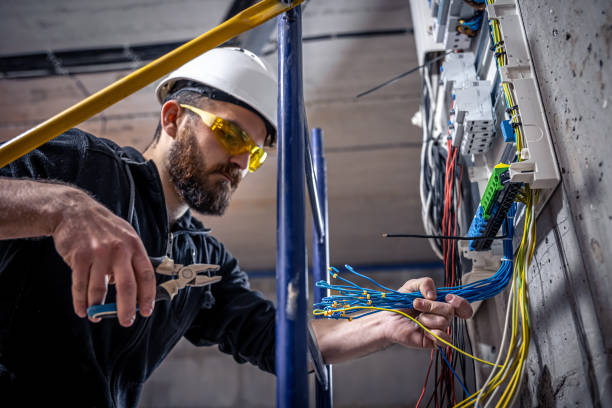Best Electrical System Inspection  in Dane, WI
