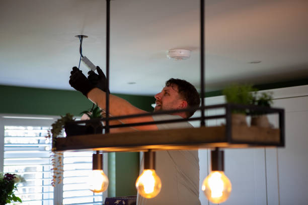 Best Electrician for Home Renovation  in Dane, WI