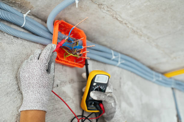 Best Electrical Upgrades for Homes  in Dane, WI